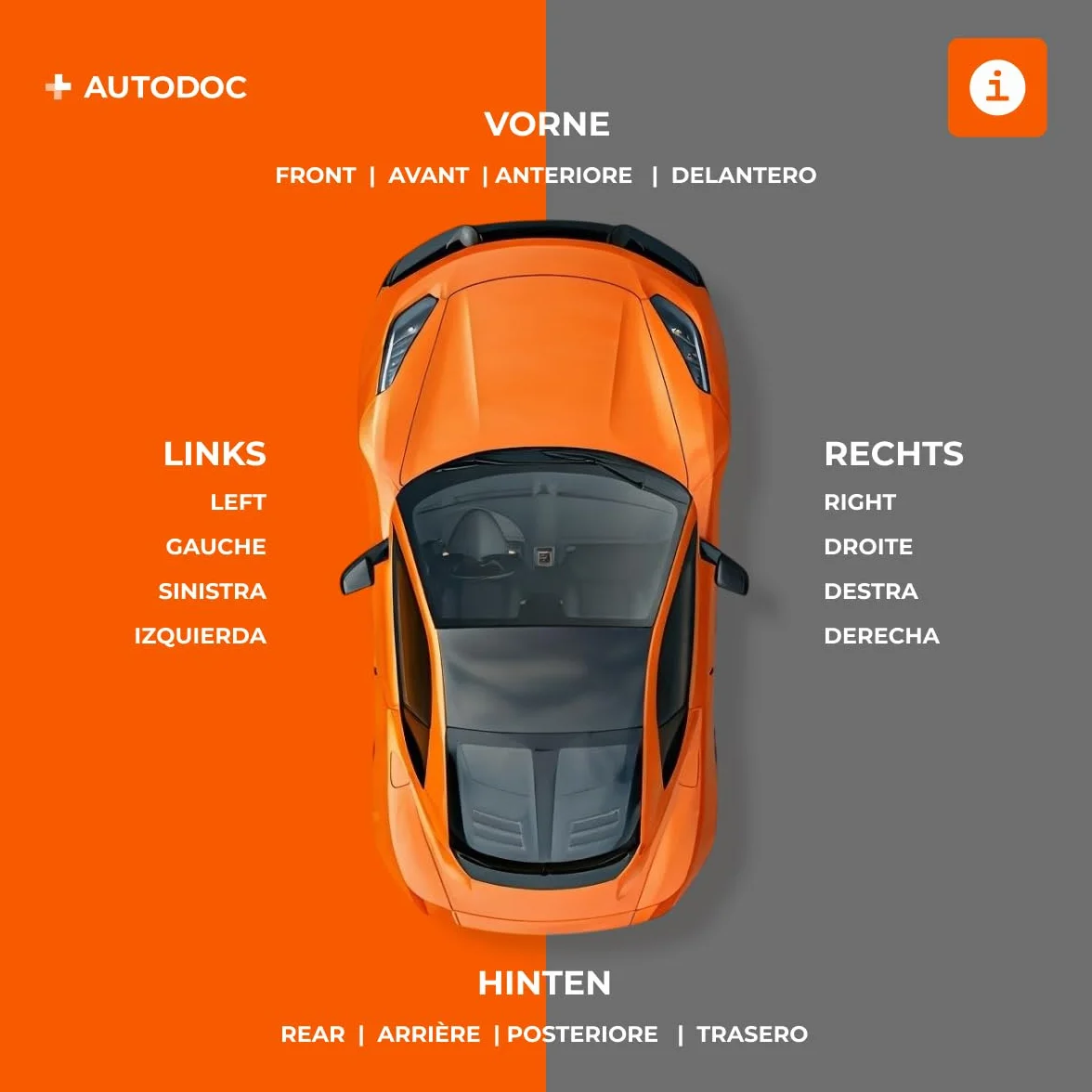RIDEX 2254S0041 Anello sensore ABS Compatibilità con OPEL Vivaro A Van X83