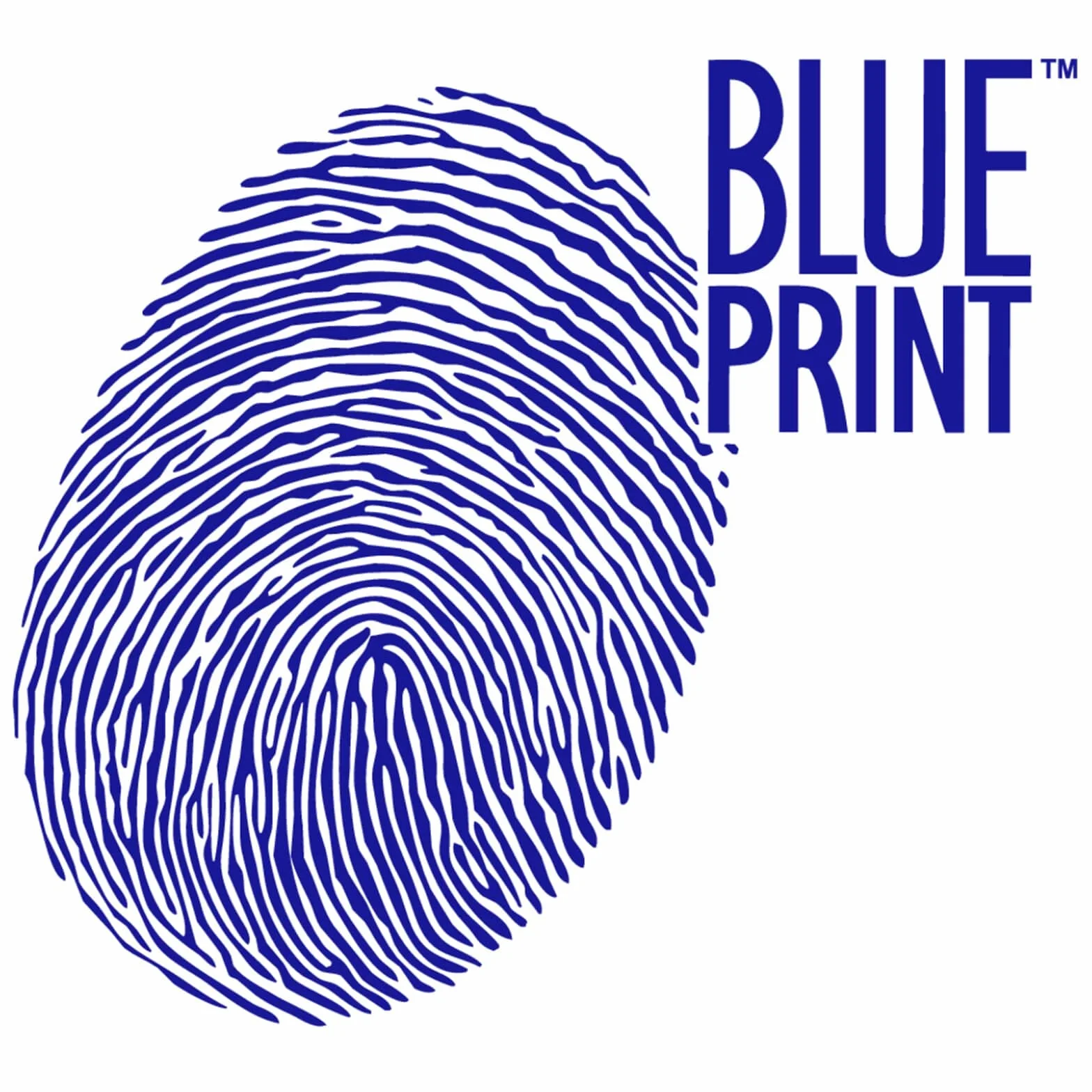 BLUE PRINT ADV182304 Filtro carburante Filtro per condotti/circuiti Compatibilità con AUDI Q5 8RB A4 Avant 8K5, B8 A4 Sedan 8K2, B8 A5 Coupe 8T3 Q7 4LB A5 Sportback 8TA