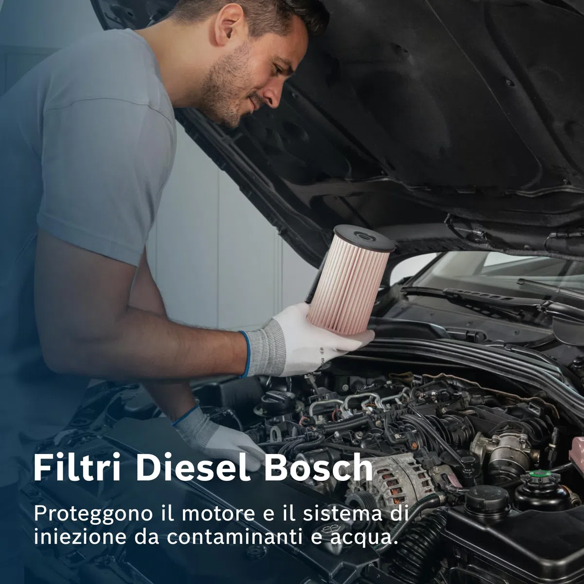 Filtro Diesel per Auto Bosch N0008 - Separa le particelle e l'acqua dal carburante, protegge il sistema di iniezione