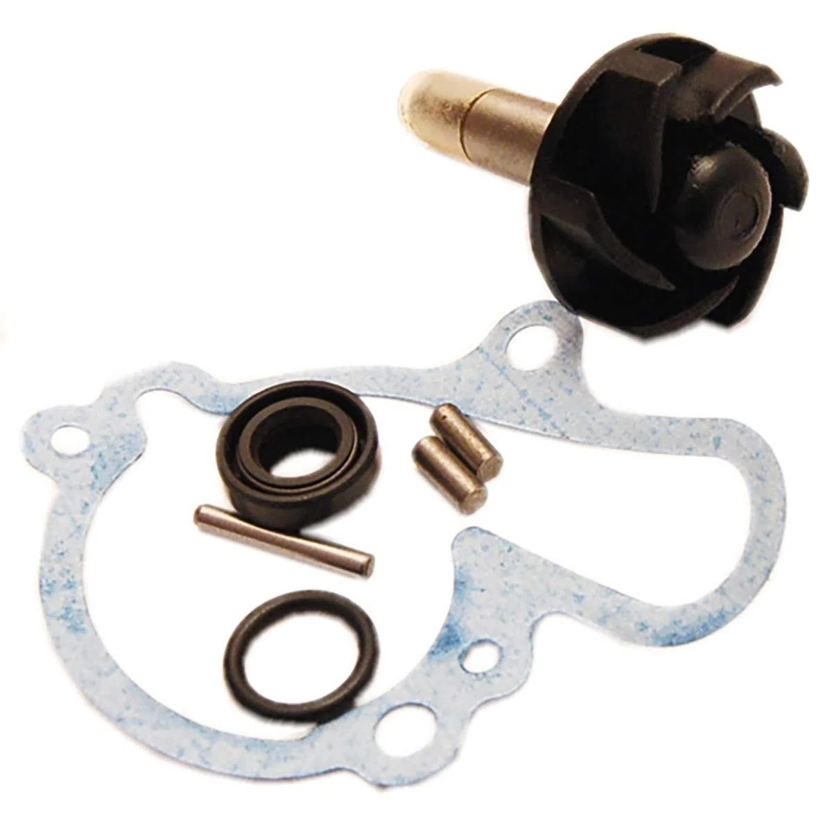 one by Camamoto cod. 77093616 kit set revisione pompa acqua compatibile con motori minarelli am6 / Rs 50 2T- X-Limit 50- Sherco Hrd 50 2T Lc-Tzr 50 2T Lc-hm cre Derapage 50 2T Lc