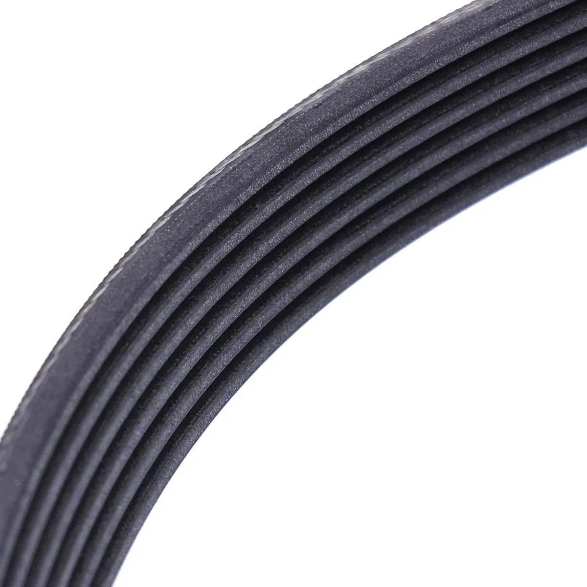 CONTITECH 6PK1555 Cinghia Poly-V