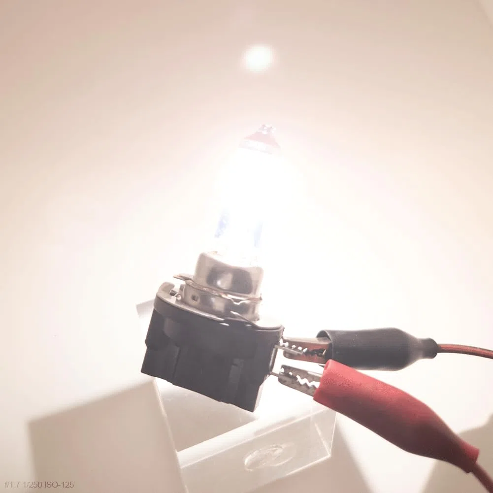 SOFOC H11B 12V 55W Halogen Bulb 1800+LM White Headlight Low Beam Light & Fog Light Replacement Single Filament PGJ19-2 2Pezzi
