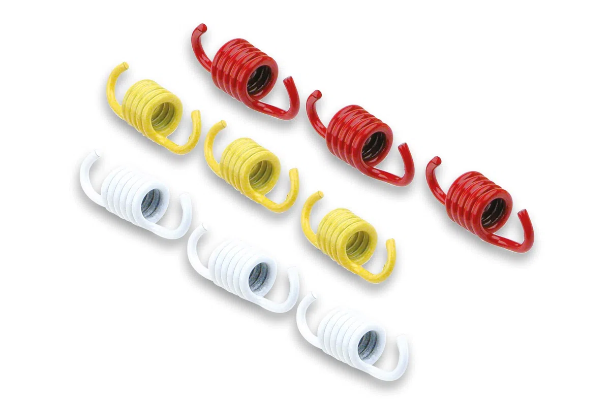 MALOSSI 2912536 Serie molle RACING per frizione