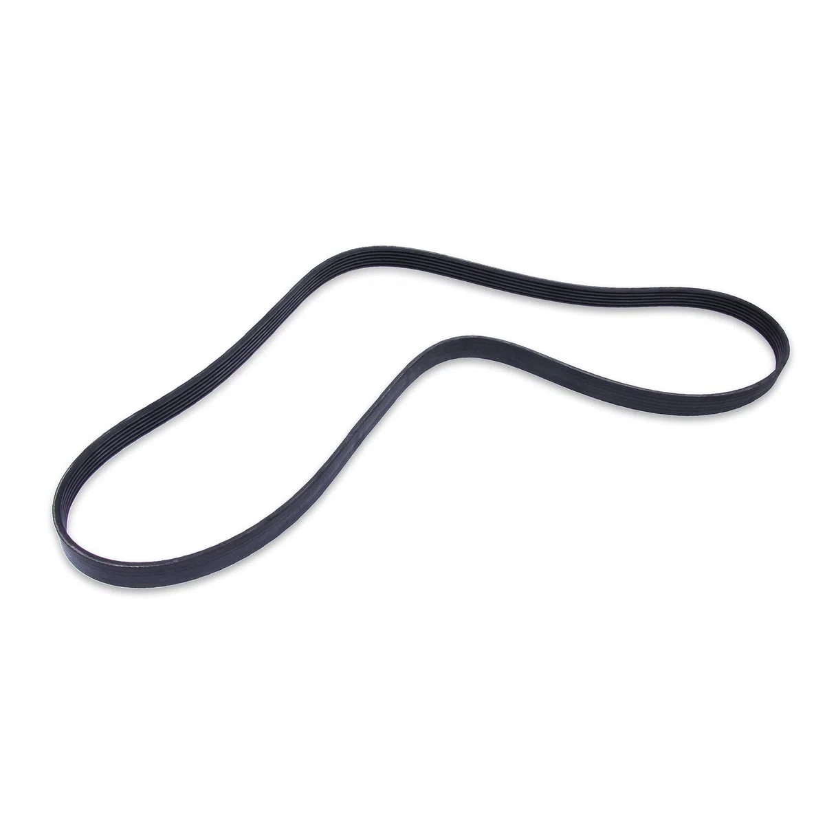 CONTITECH 6PK1555 Cinghia Poly-V