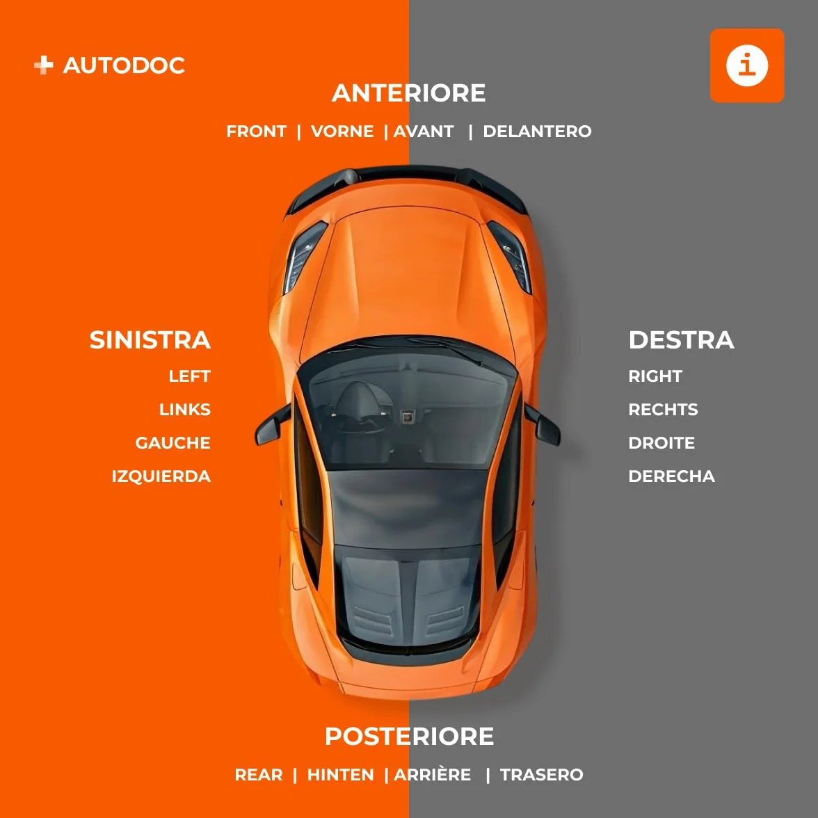 RIDEX 2254S0041 Anello sensore ABS Compatibilità con OPEL Vivaro A Van X83