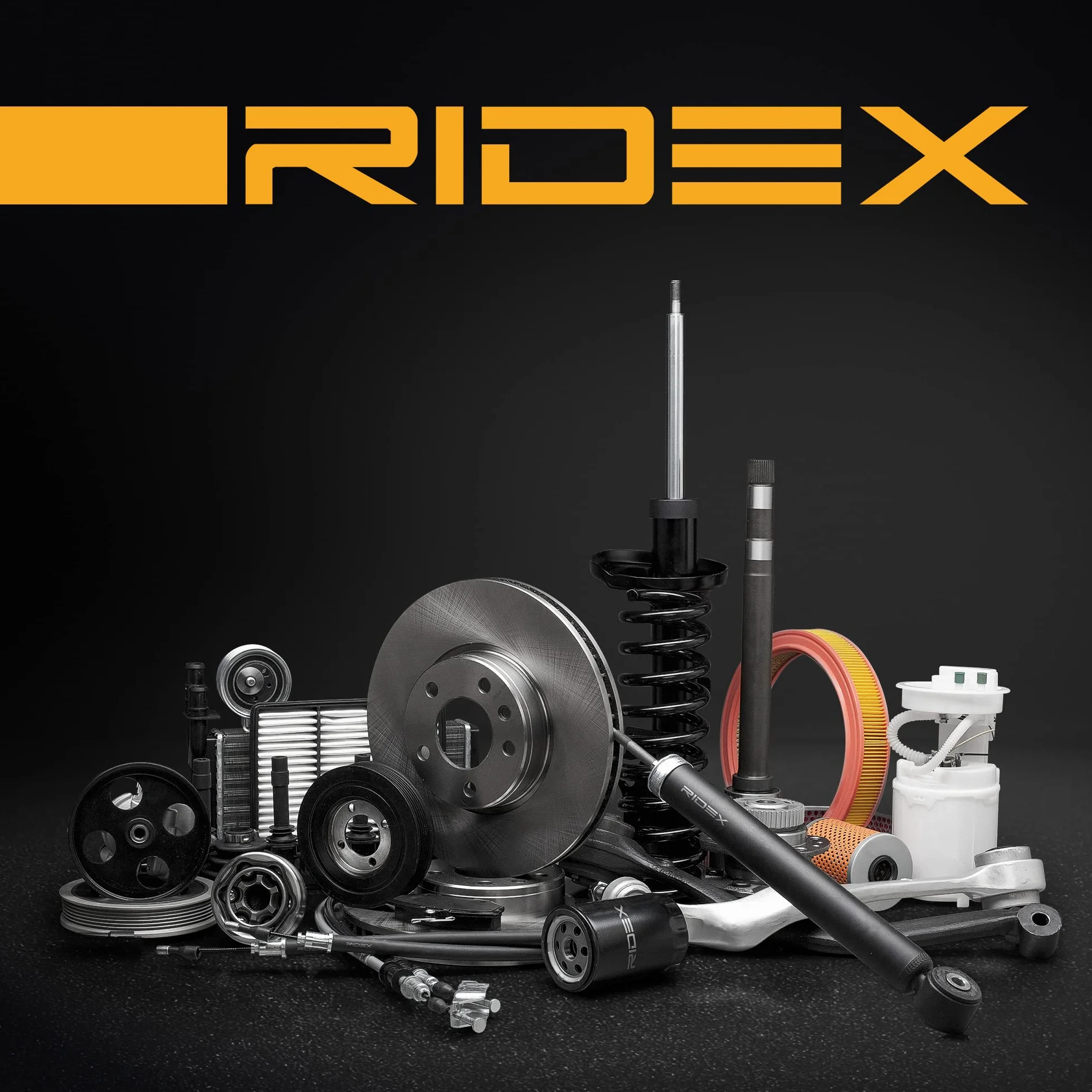 RIDEX 9F0123 Filtro carburante Compatibilità con FORD Transit Mk6 Furgonato V347, V348, FA