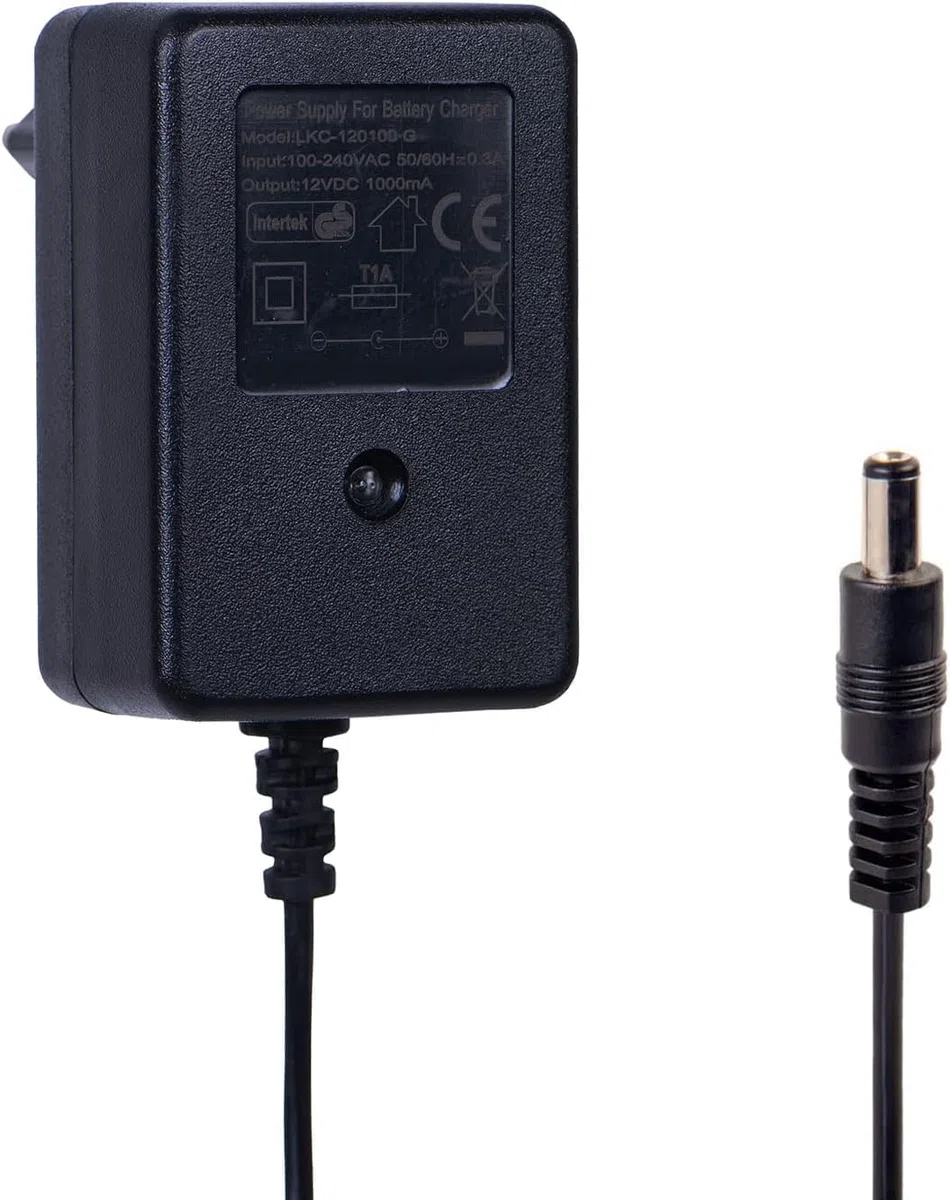 Mondial Toys Caricabatteria da Auto elettrica per Bambini Caricatore 12V, Carica Batterie da 12 Volt per Veicoli elettrici
