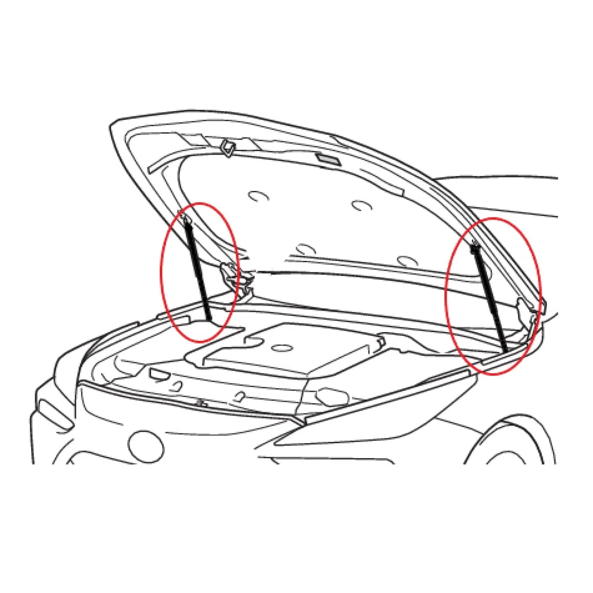 2 Molle a Gas per Cofano Compatibili con BMW Serie 5 E60 E61 2003-2010 Remplacement du numéro de pièce 51237008745