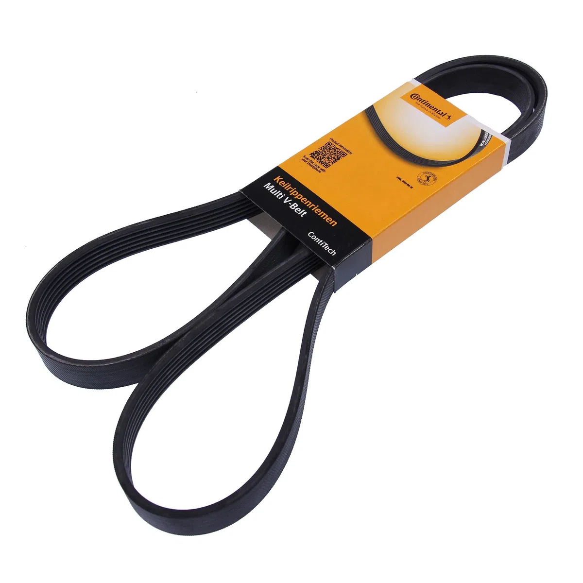CONTITECH 6PK1555 Cinghia Poly-V
